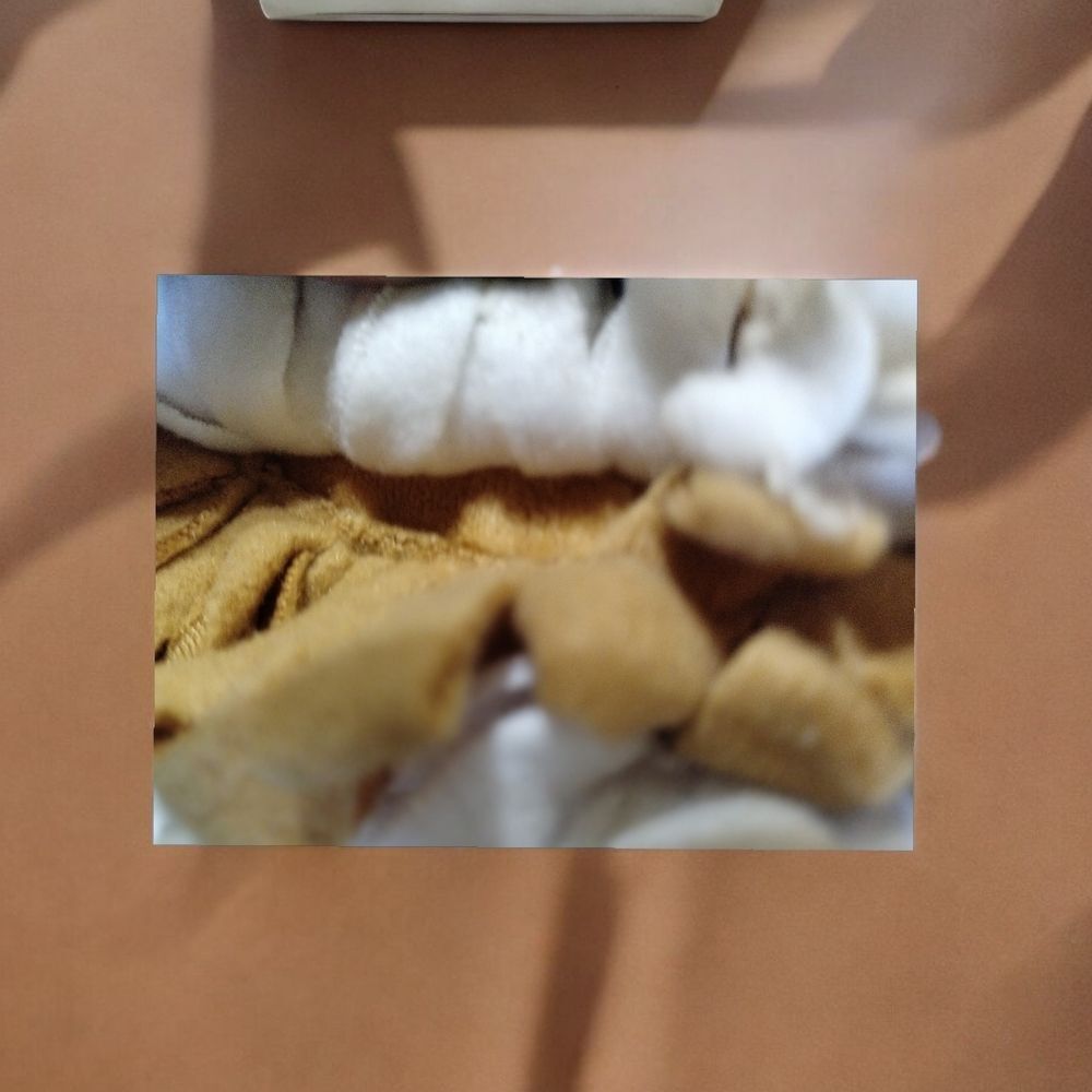 Dog Toy Vibrant Life Widelife Snuffle Fox  Mat 10inch, Chew Level 3, Polyester - Picture 5 of 12